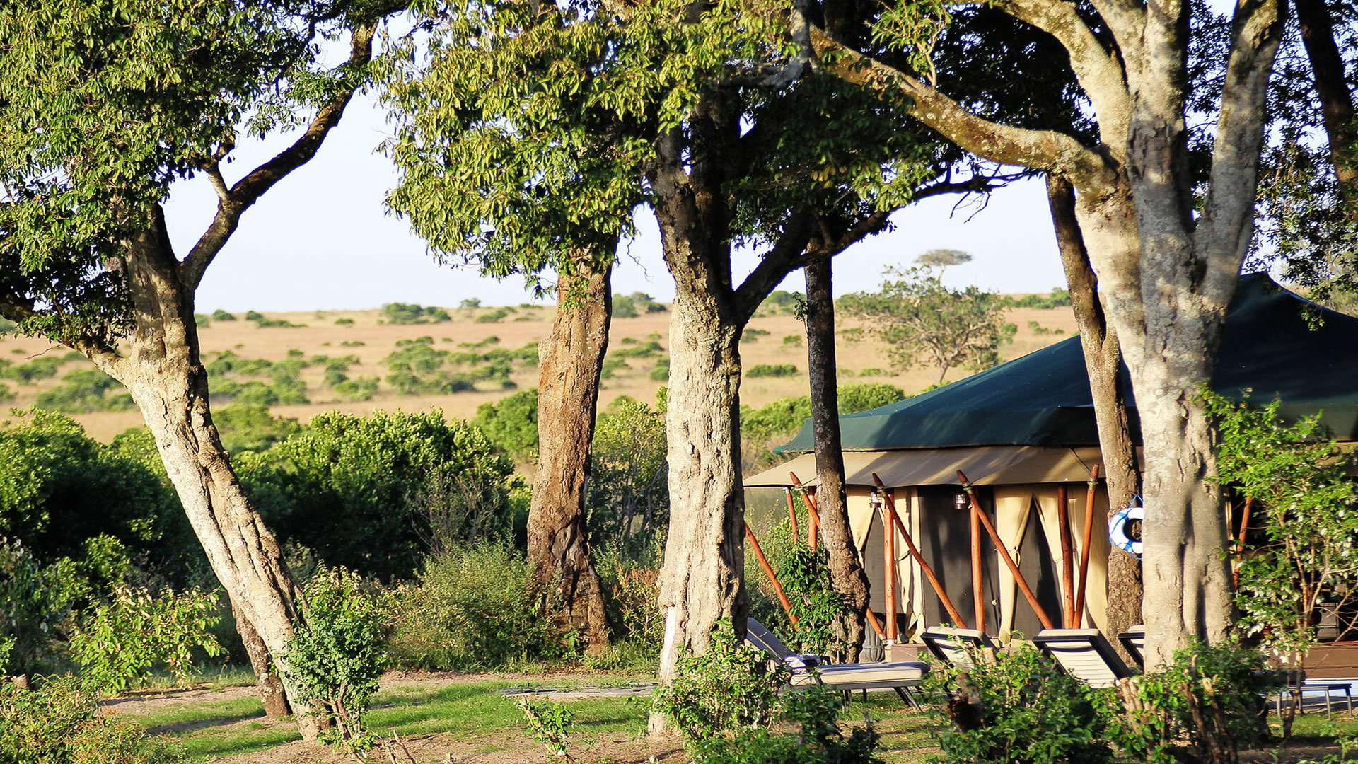 Sand River Mara