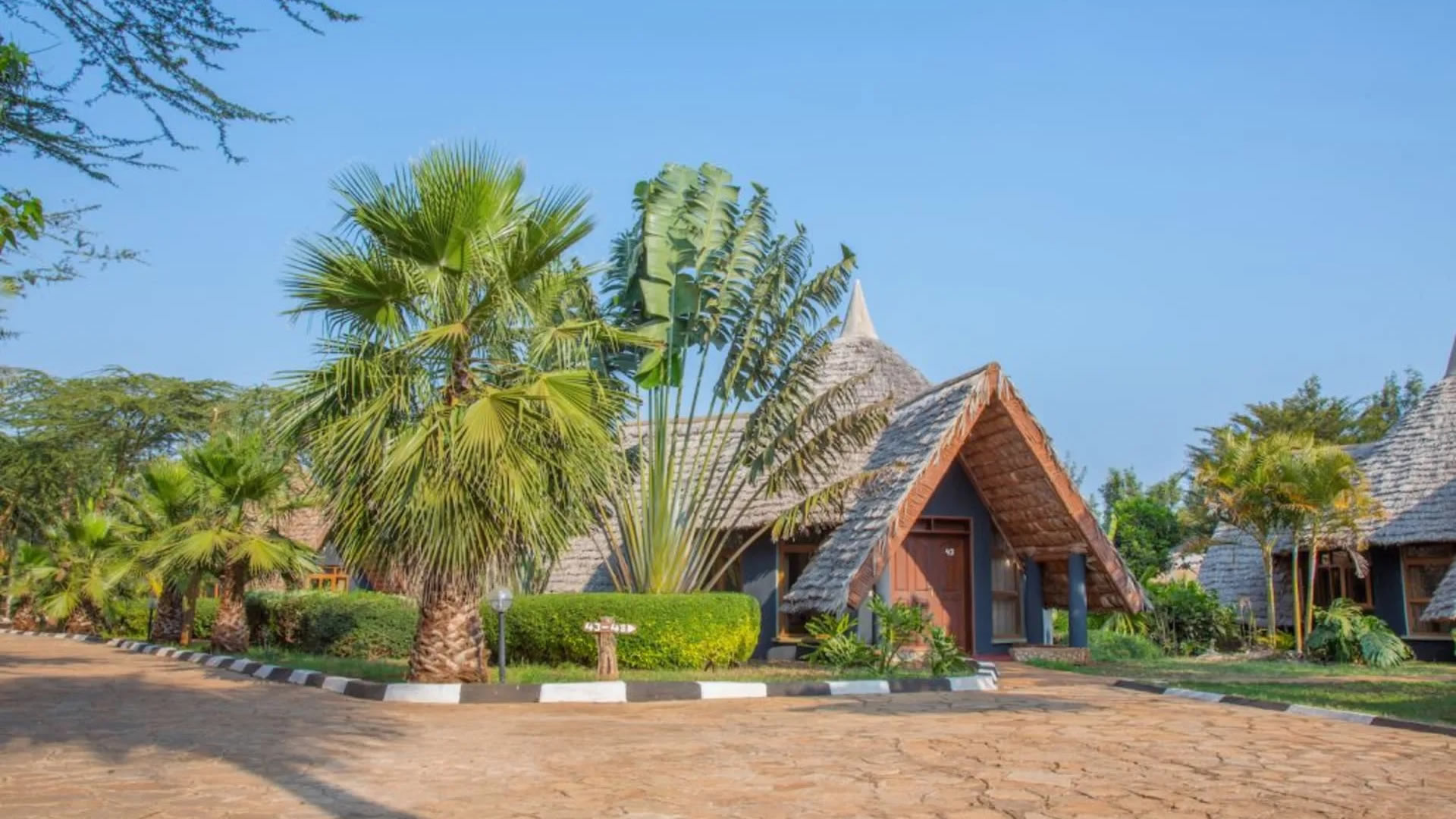 Lake Eyasi Safari Lodge