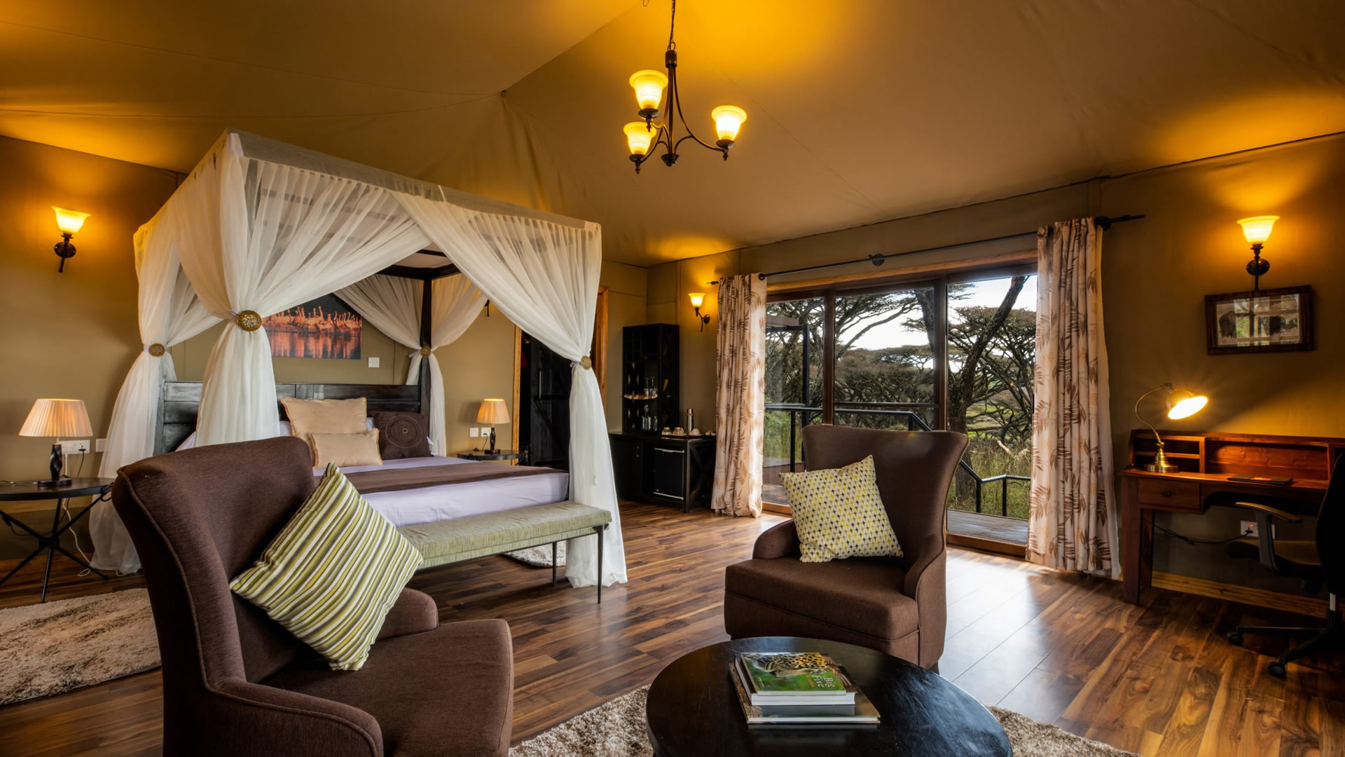 Lion's Paw Ngorongoro